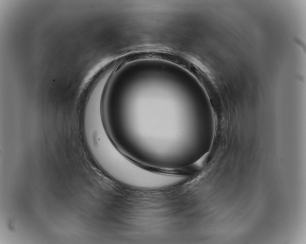 X0000096671310200802051213