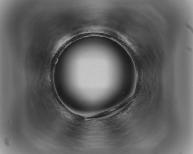 X0000096671312200802051213