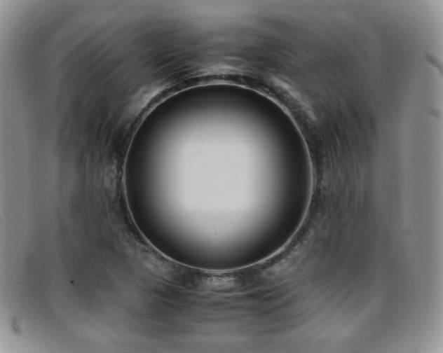 X0000096671313200802051213
