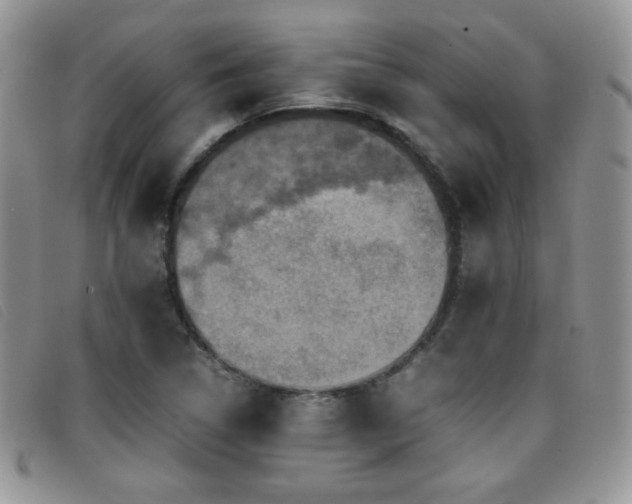 X0000096671314200802051213