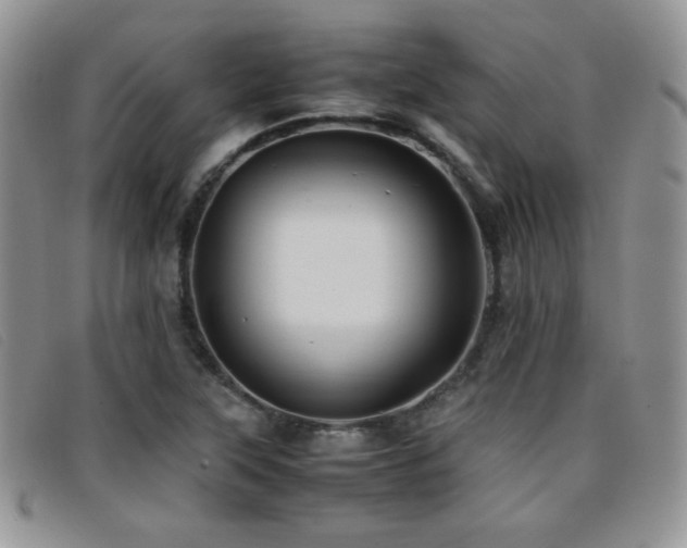 X0000096671315200802051213