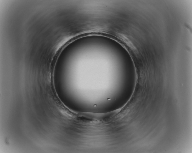 X0000096671316200802051213