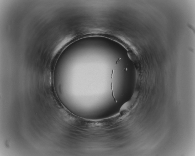X0000096671317200802051213