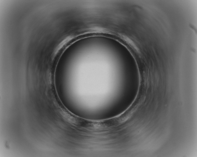 X0000096671318200802051213