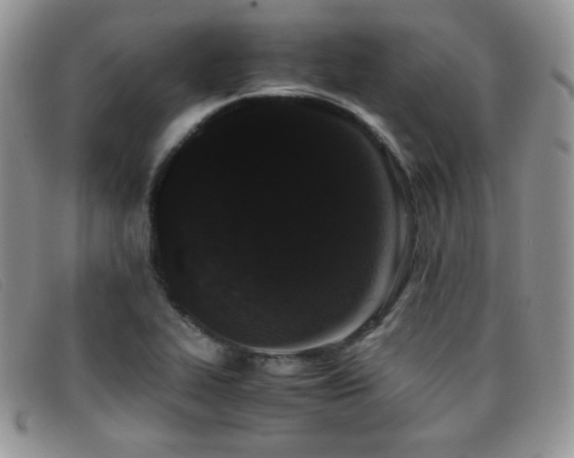 X0000096671319200802051213