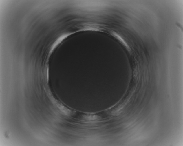 X0000096671323200802051214