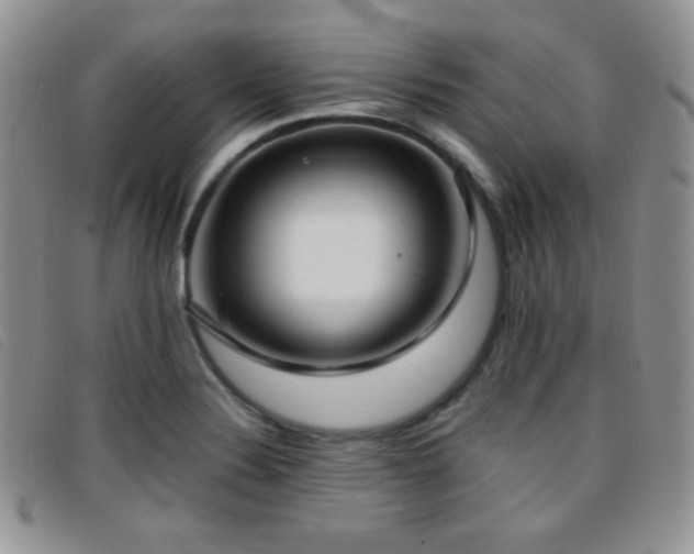 X0000096671324200802051214