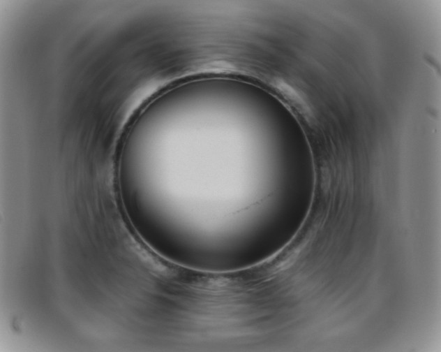 X0000096671326200802051214