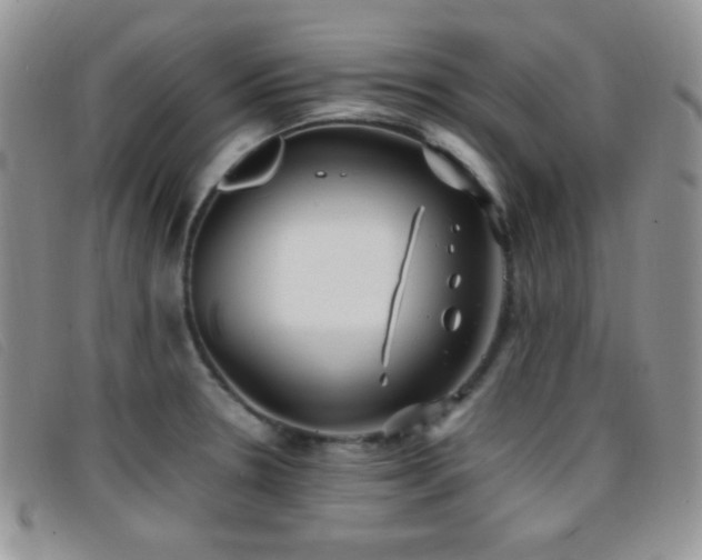 X0000096671330200802051214