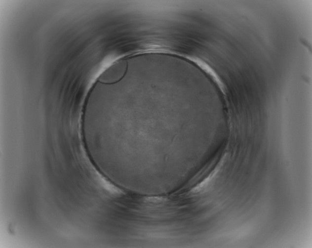 X0000096671333200802051214