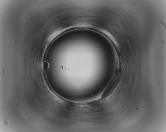 X0000096671335200802051214