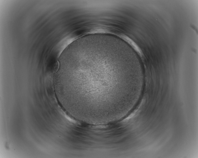 X0000096671337200802051214