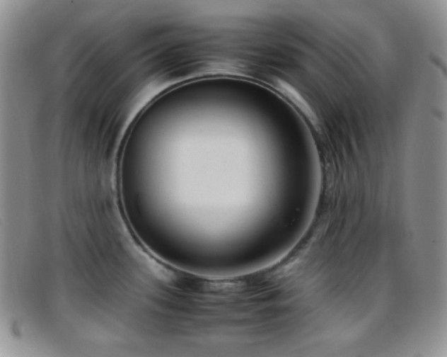X0000096671339200802051214