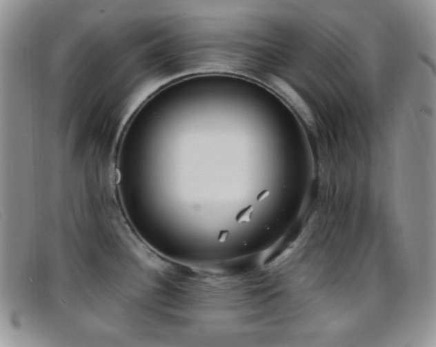 X0000096671340200802051214