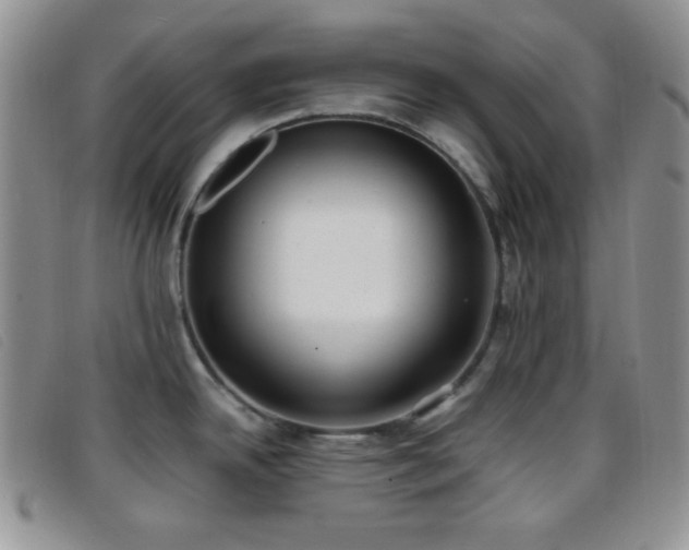X0000096671342200802051214