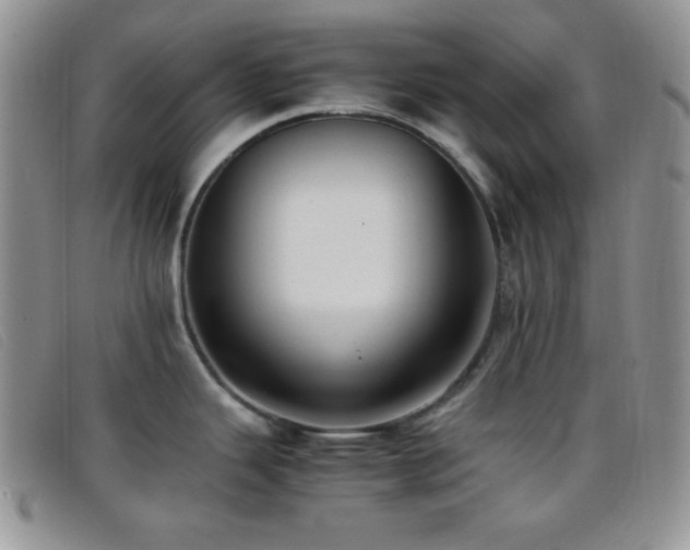 X0000096671343200802051214