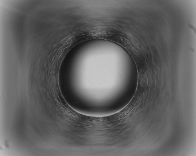 X0000096671345200802051213