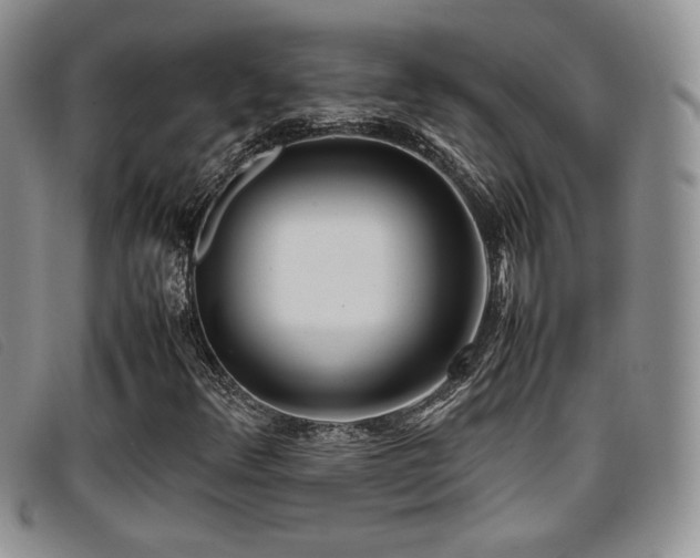 X0000096671348200802051213