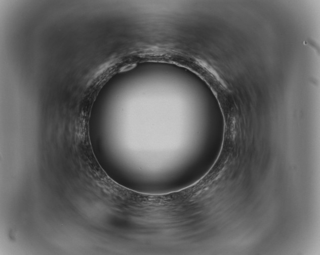 X0000096671350200802051213