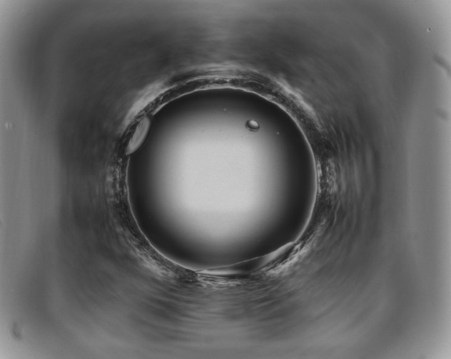X0000096671352200802051213