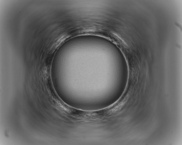 X0000096671353200802051213