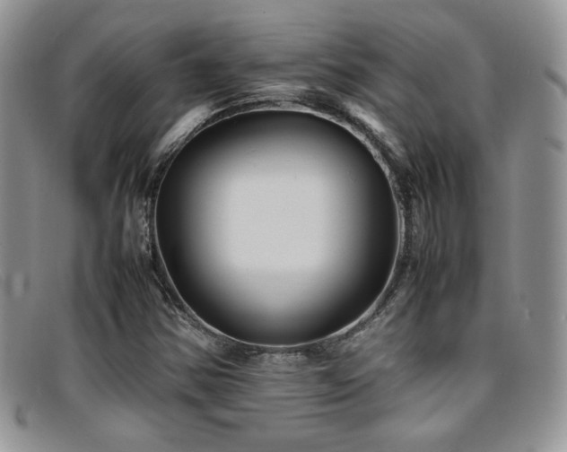 X0000096671354200802051213