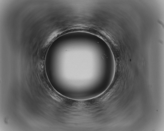 X0000096671355200802051213