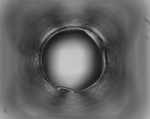 X0000096671356200802051213