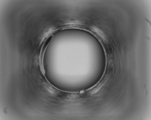 X0000096671357200802051213