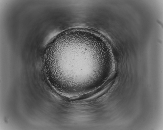 X0000096671359200802051213