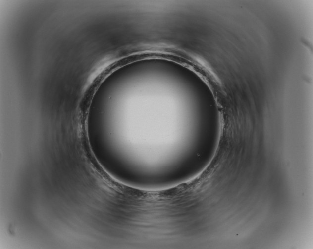 X0000096671360200802051213