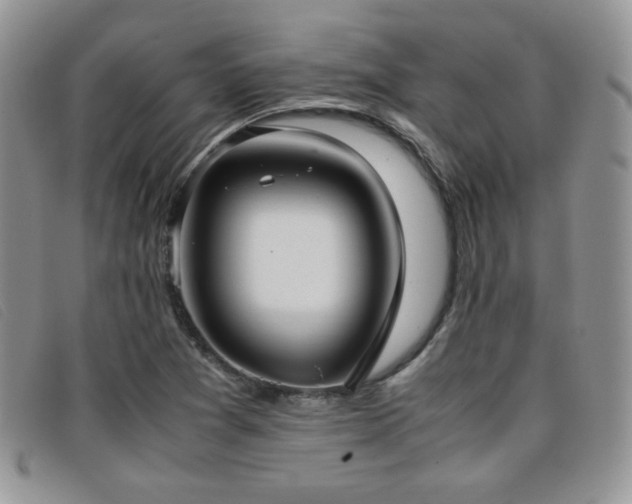 X0000096671361200802051213