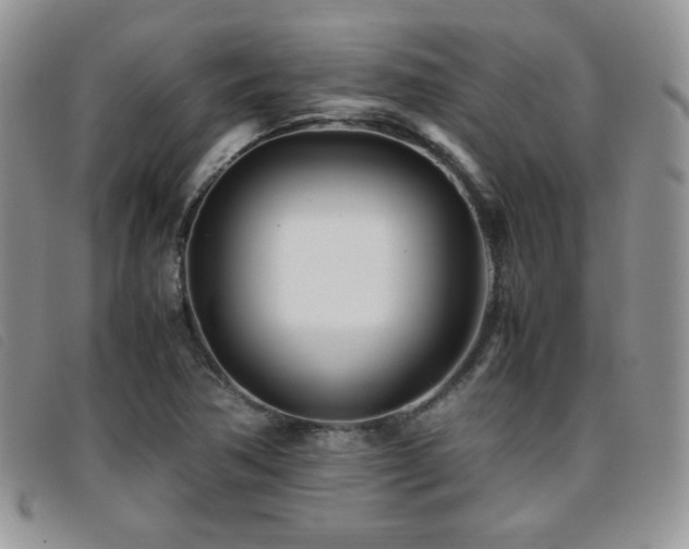 X0000096671362200802051213