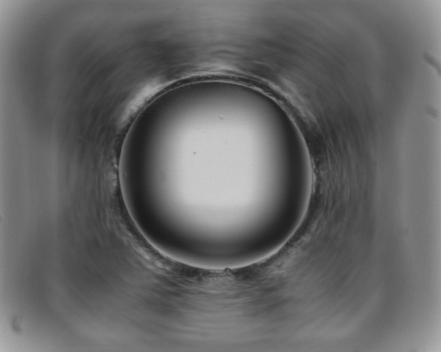 X0000096671363200802051213