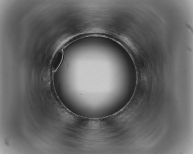 X0000096671364200802051213