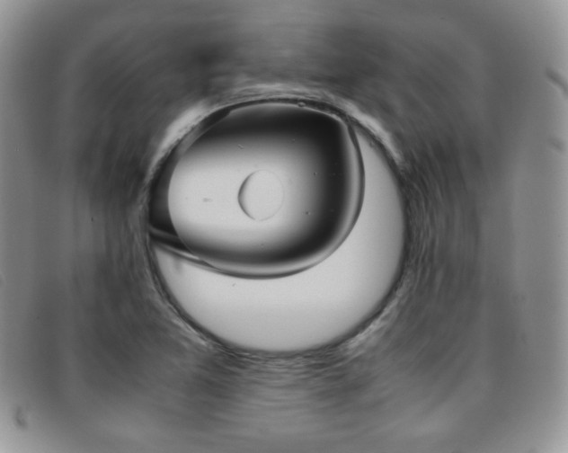 X0000096671365200802051213