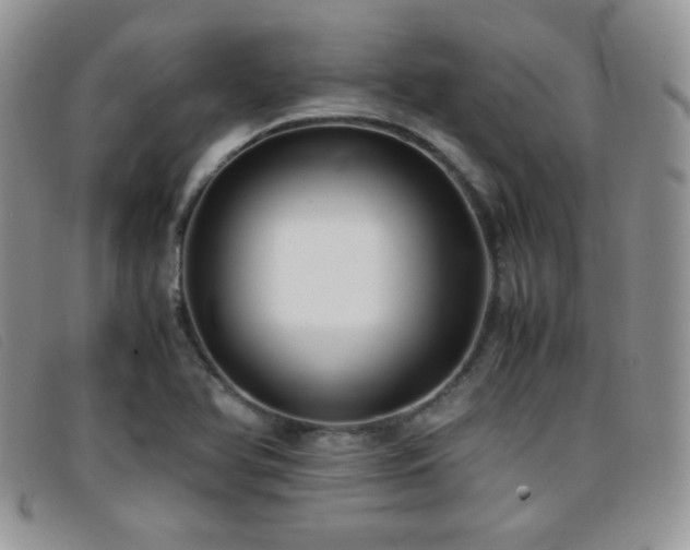 X0000096671366200802051213