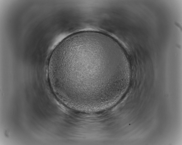 X0000096671367200802051213