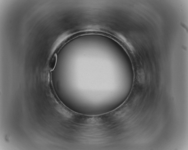 X0000096671368200802051213
