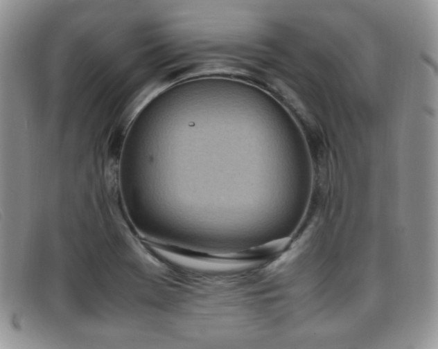 X0000096671369200802051213