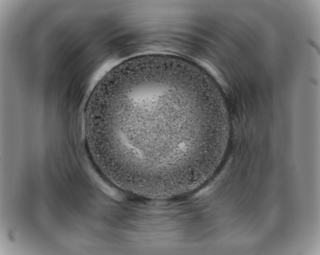 X0000096671371200802051213