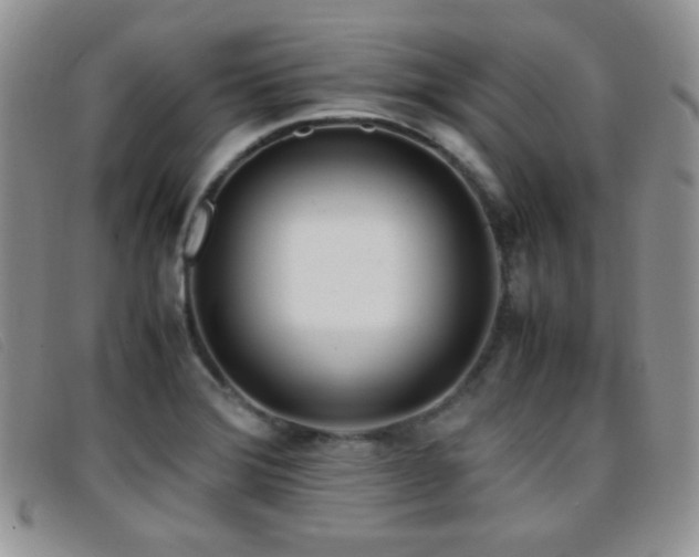 X0000096671372200802051213