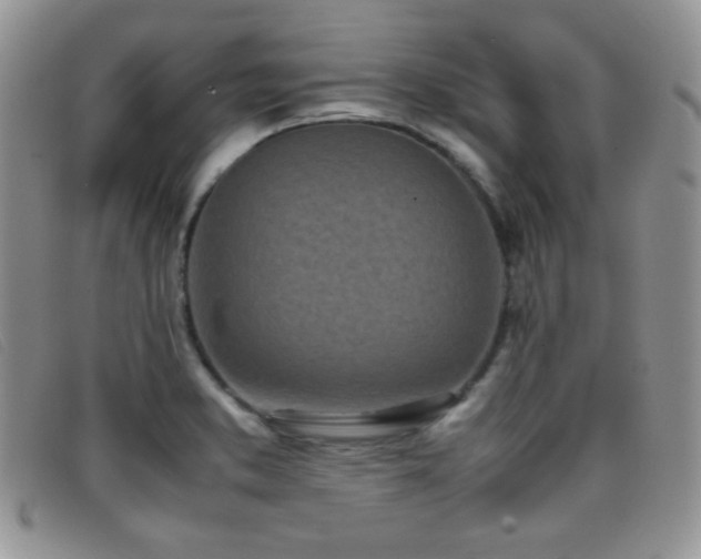 X0000096671373200802051213