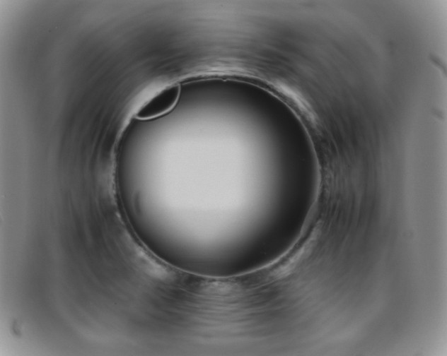 X0000096671374200802051213