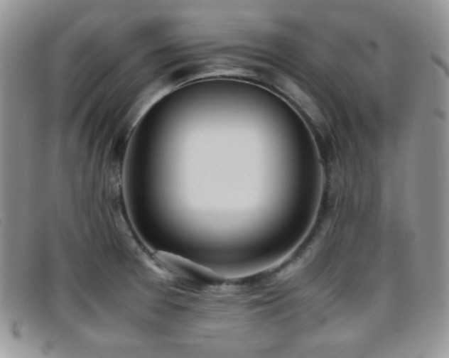 X0000096671377200802051213