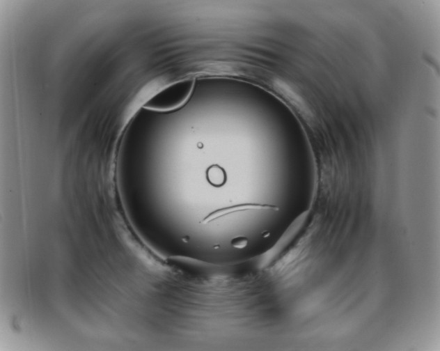 X0000096671378200802051213