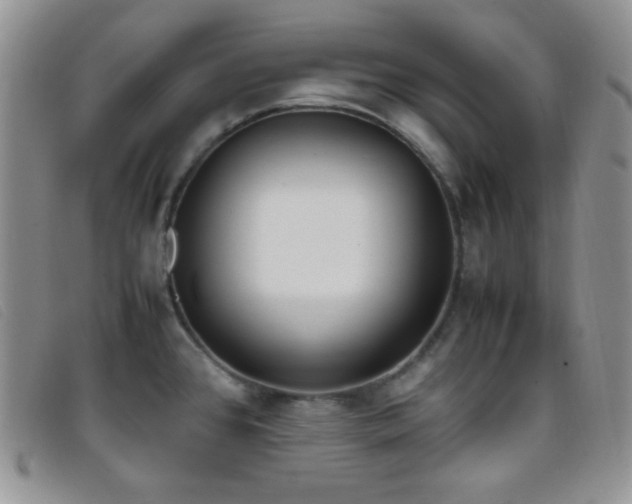 X0000096671384200802051212