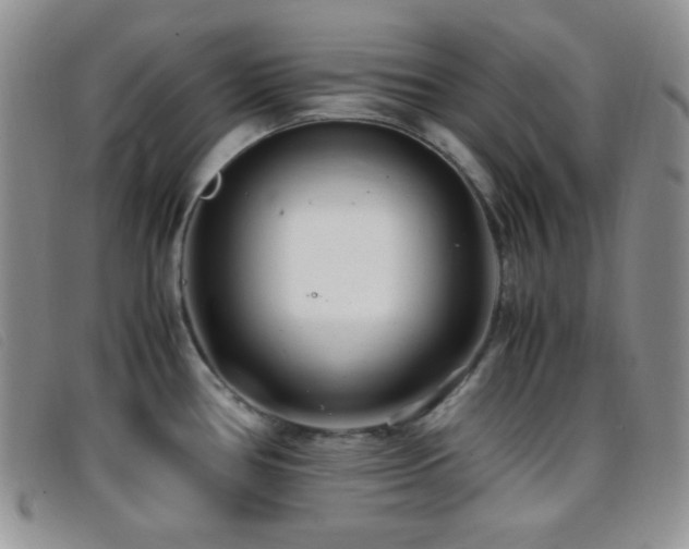 X0000096671386200802051212