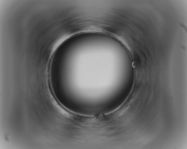 X0000096671387200802051212