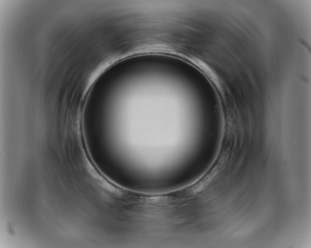 X0000096671390200802051212